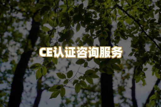 CE认证咨询服务